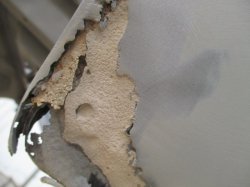 201006 69 Ford Mustang (6).JPG